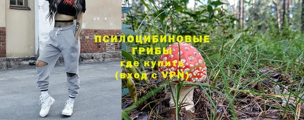 таблы Белокуриха