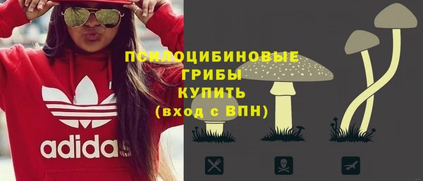 таблы Богородицк