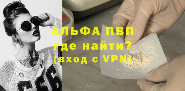индика Беломорск